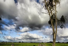 2021年广西九顿天窗926洞潜事件，韩颋带队艰难搜寻.