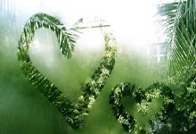 大战“金左手”！丁俊晖能否开启胜利之门？.