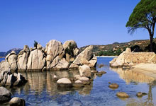 j9九游会官网：ESPN：利雅得新月主帅若热-热苏斯是巴西队换帅的首选.